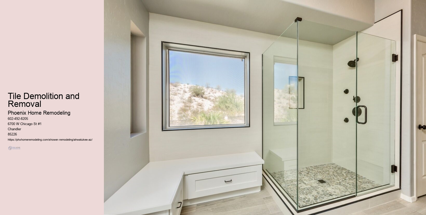 Shower tile ideas Ahwatukee